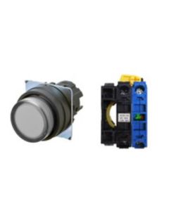 OMRON A22NL-BPA-TWA-G100-WD Device