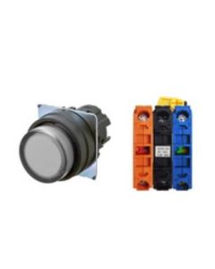 OMRON A22NL-BPA-TWA-G102-WB Device