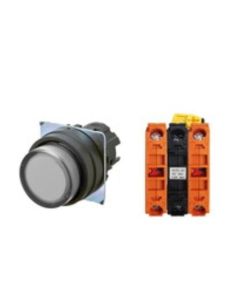 OMRON A22NL-BPA-TWA-G202-WA Device