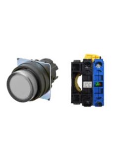 OMRON A22NL-BPM-TWA-G100-WA Device