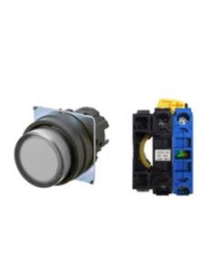 OMRON A22NL-BPM-TWA-G100-WD Device
