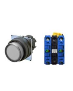 OMRON A22NL-BPM-TWA-G101-WA Device