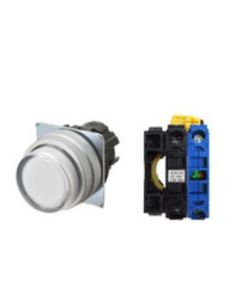 OMRON A22NL-MPA-TWA-G100-WD Device