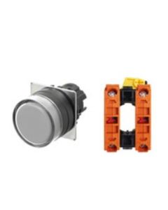 OMRON A22NN-BGA-NWA-G202-NN Device