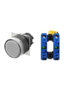 OMRON A22NN-BGM-NWA-G101-NN Device