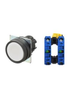 OMRON A22NN-BNA-NWA-G101-NN Device