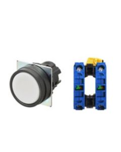 OMRON A22NN-BNM-NWA-G101-NN Device