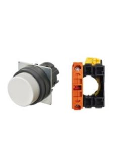 OMRON A22NN-BPA-NWA-G002-NN Device