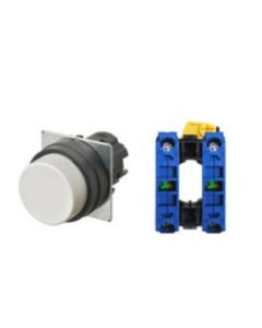 OMRON A22NN-BPA-NWA-G101-NN Device