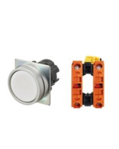 OMRON A22NN-MNA-NWA-G202-NN Device