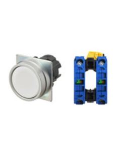 OMRON A22NN-MNM-NWA-G101-NN Device