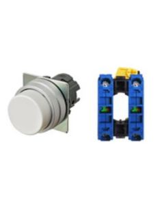 OMRON A22NN-MPA-NWA-G101-NN Device
