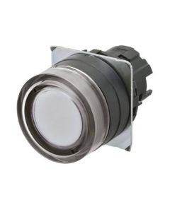 OMRON A22NZ-BGM-UWA Device