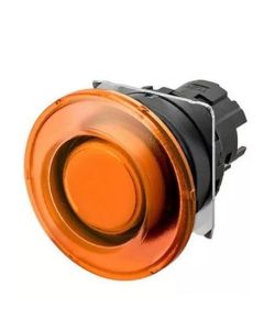 OMRON A22NZ-BMA-TYA Device