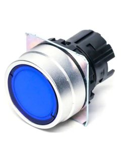 OMRON A22NZBGAUGA Button
