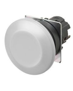 OMRON A22NZBMMNWA Button