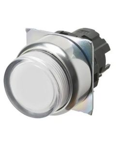 OMRON A22NZRPMUWA Button