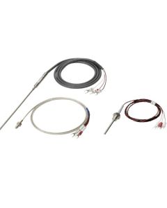OMRON E52P20AYD324M RTD