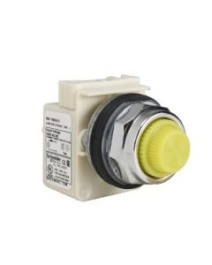 Schneider Electric 9001KP38LYY31 Controller