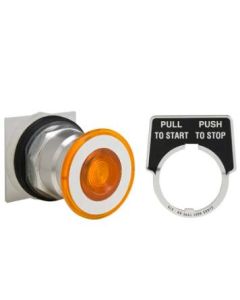 Schneider Electric 9001KR8A Button