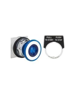 Schneider Electric 9001KR9L Button