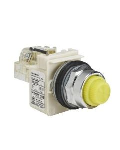 Schneider Electric 9001KT38LYY31 Accessory