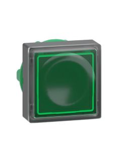 Schneider Electric ZB5CW333 Button