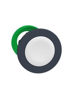 Schneider Electric ZB5FA1 Pushbutton