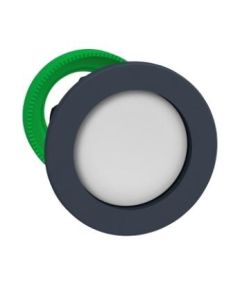 Schneider Electric ZB5FA16 Pushbutton