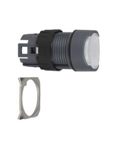 Schneider Electric ZB6AF1 Button