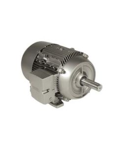 Siemens 1LE21211AB214AA3 Motor