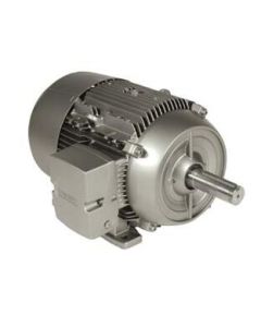 Siemens 1LE21211CA114EA3 Motor