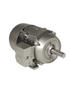 Siemens 1LE21212AA114EA3 Motor