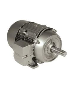 Siemens 1LE21212BB114AA3 Motor