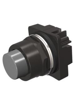 Siemens 52BM8B6 Button