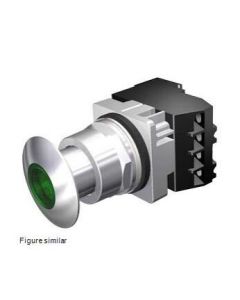 Siemens 52PP2G3AB Switch