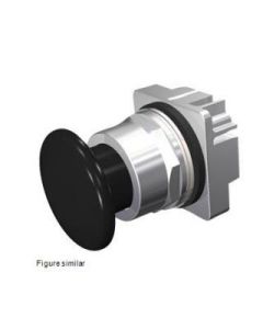 Siemens 52PP2W1 Button