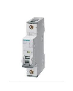 Siemens 5SY4102-8 Breaker