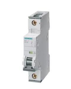Siemens 5SY81067 Breaker