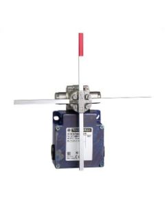 Telemecanique XCKMR44D1H29 Device