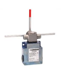 Telemecanique XCKMR54D2H29 Device