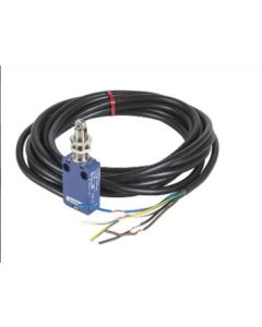 Telemecanique XCMD21F2L2 Device