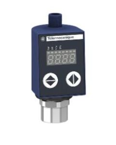 Telemecanique XMLR025G0T25 Device