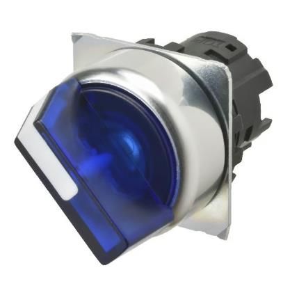 OMRON A22NZ-2RL-TOA Device