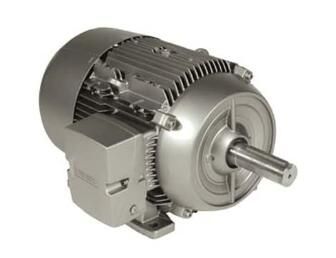 Siemens 1LE21211CB314AA3 Motor