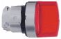 Telemecanique ZB4BK1213 Head