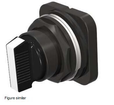 Siemens 52SX2BAB Switch