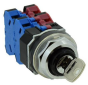 IDEC ASD2K20NU-RR Device