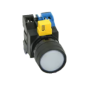 IDEC HW1L-M1F10QD-W-120V Device