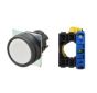 OMRON A22NN-BNM-NWA-G100-NN Device